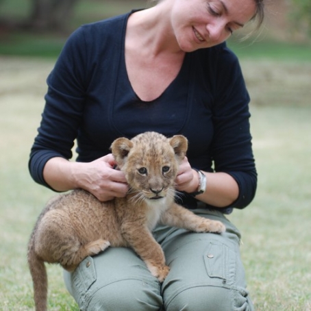 gallery/Lion_Tours---scalecrop_500_500-Guest-temp-247