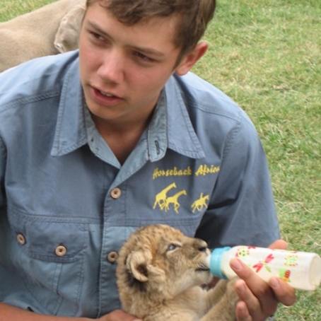 gallery/Lion_Tours---scalecrop_500_500-Lion_Feeding