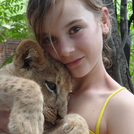 gallery/Lion_Tours---scalecrop_500_500-Lion_Cub