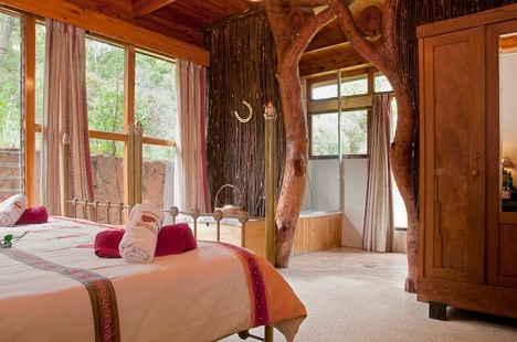 gallery/Lodge---downsize_1280_0-Lodge-room-2a-_lion-room_